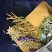 ChiChiChiの画像