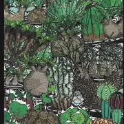 pygmaeaの画像