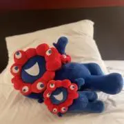 もりこの画像