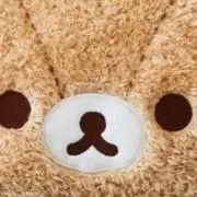 す
