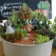 スバル