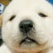 ニックがネームの画像