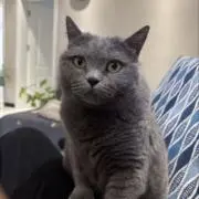 トの画像
