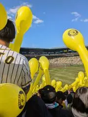 敬天愛神の画像