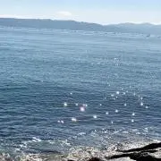 mym3733の画像