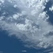 ゆめの画像