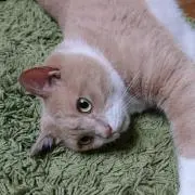 ひーちゃん