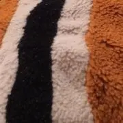 armyの画像