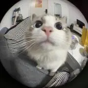 笑顔が1番