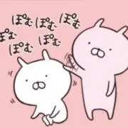 ぽむの画像