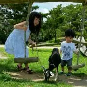NaylorMadeの画像