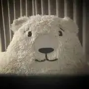 くまちゃん