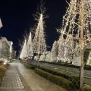 erieeeの画像