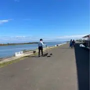 ぴーとの画像
