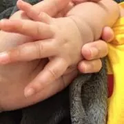 セナの画像