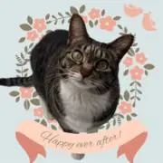 its_better281の画像