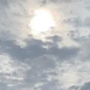 コルン