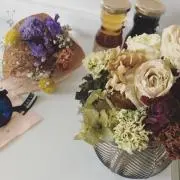ウィリーたん