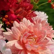 yukic☆の画像