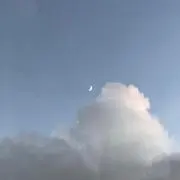 mの画像