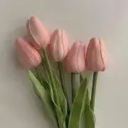 Aの画像