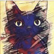 あおねこ