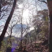 Kyuji