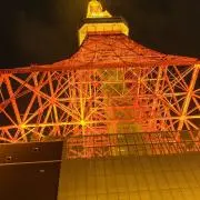 カムトウの画像