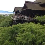 コージ