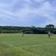 ライムの画像