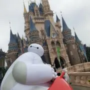 ☆ Aoiの画像