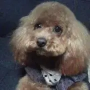 かりんママ❤