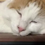ゆな