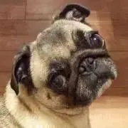 いちごの画像