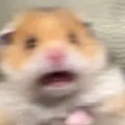 ♡の画像