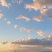 Kiki.8/11〜8/16発送✖︎の画像