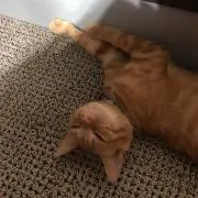 ひろみの画像