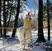 みちこ