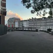 ぽよの画像