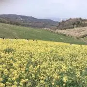 みの画像