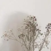 madの画像