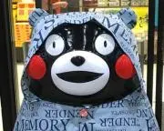ぽっぽの画像