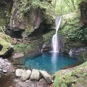 たまきんの画像