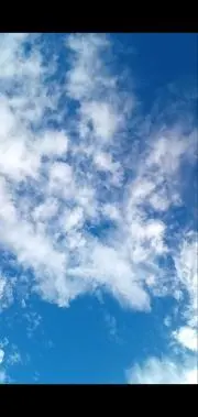 社会貢献もします！自己紹介見てください。の画像