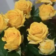 紺 プロフ必読の画像