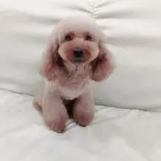 ゴルフ好きのおっさんから断捨離おじさんの画像
