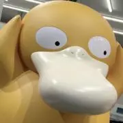 saki