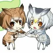 アロエぬりぬり