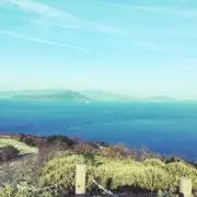 acemarco01の画像