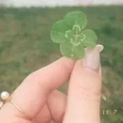 ぱーるの画像